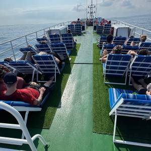 d-camel-fast-ferry-roof_original