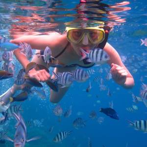 snorking-trip-1_original